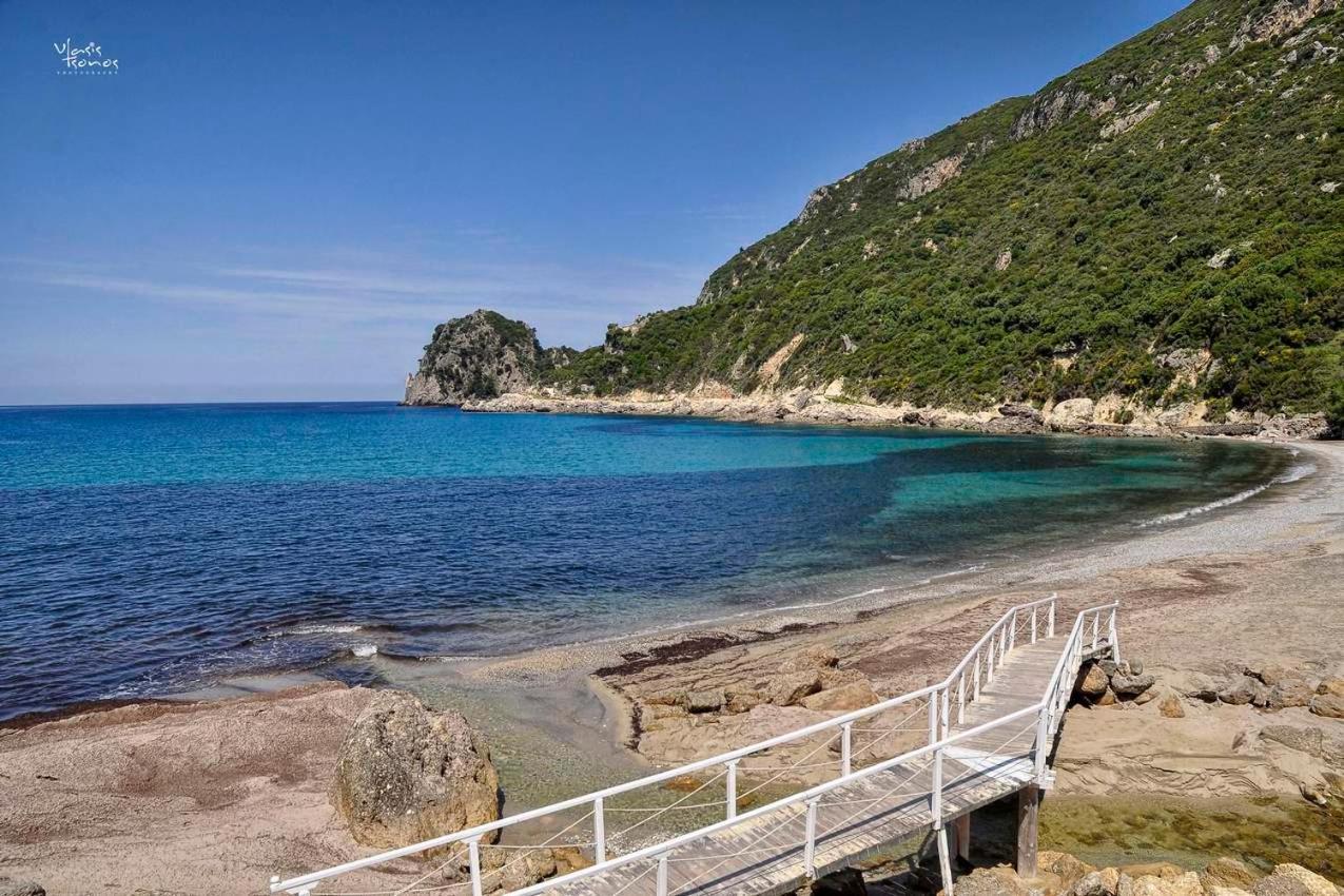 Alexandras Forest View Leilighet Agios Prokopios  Eksteriør bilde